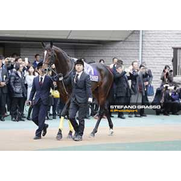 The 36th Japan Cup in association with Longines - Kitasan Black Tokyo,27th nov.2016 ph.Stefano Grasso/Longines