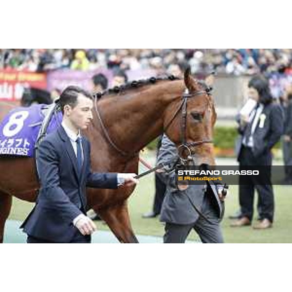 The 36th Japan Cup in association with Longines - Erupt Tokyo,27th nov.2016 ph.Stefano Grasso/Longines