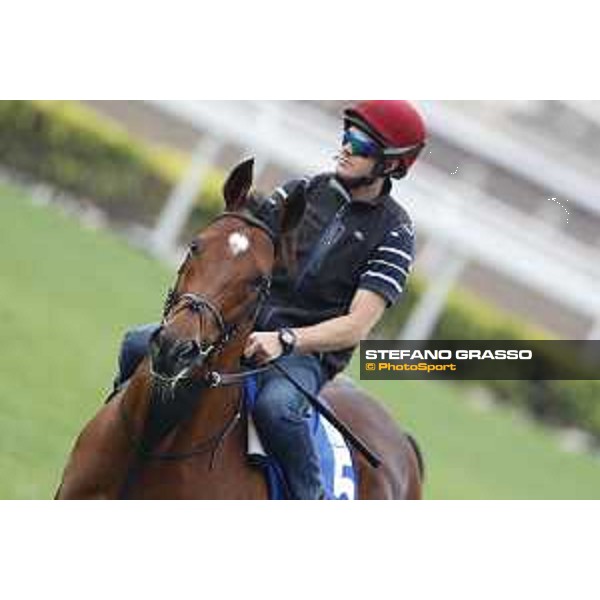 Sha Tin - Morning track works Sha Tin,7th dec.2016 ph.Stefano Grasso