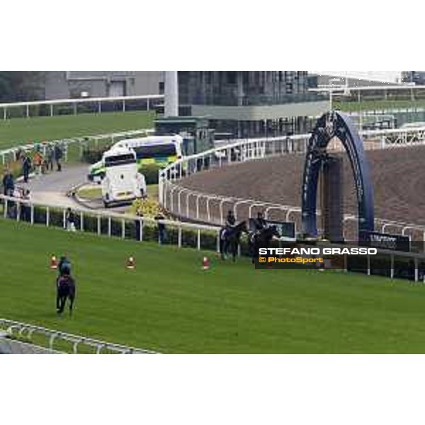 Sha Tin - Morning track works - Elliptique with Highland Reel and Cougar Mountain Sha Tin,7th dec.2016 ph.Stefano Grasso