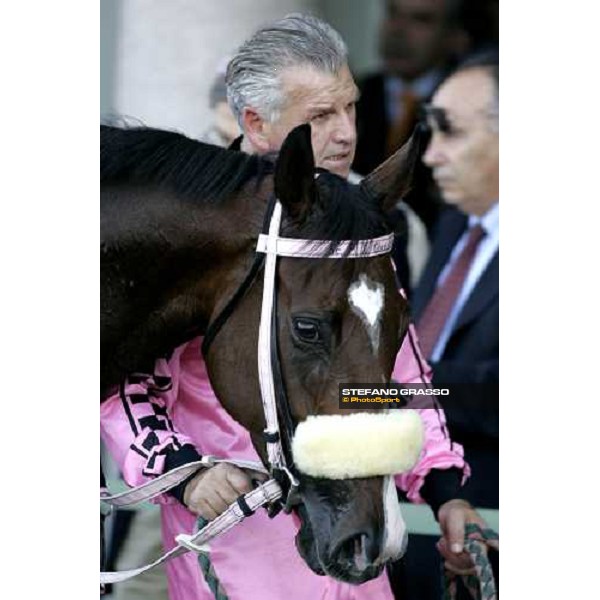 Desert Quiet walking in the winner circle after winning the Premio Sergio Cumani Milan San Siro 15th october 2006 ph. Stefano Grasso