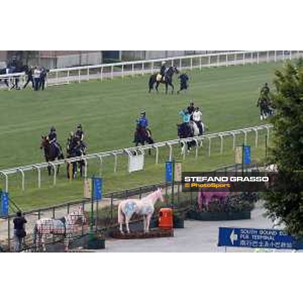Sha Tin - Morning track works - The Japanese Connection Sha Tin,7th dec.2016 ph.Stefano Grasso