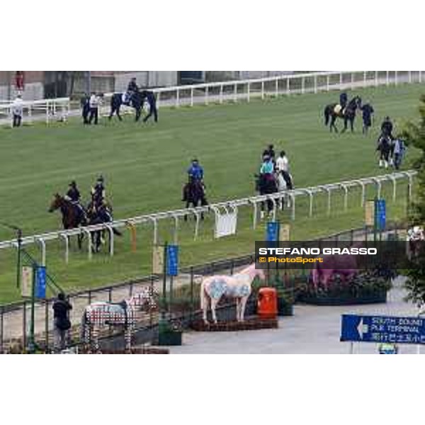 Sha Tin - Morning track works - The Japanese Connection Sha Tin,7th dec.2016 ph.Stefano Grasso
