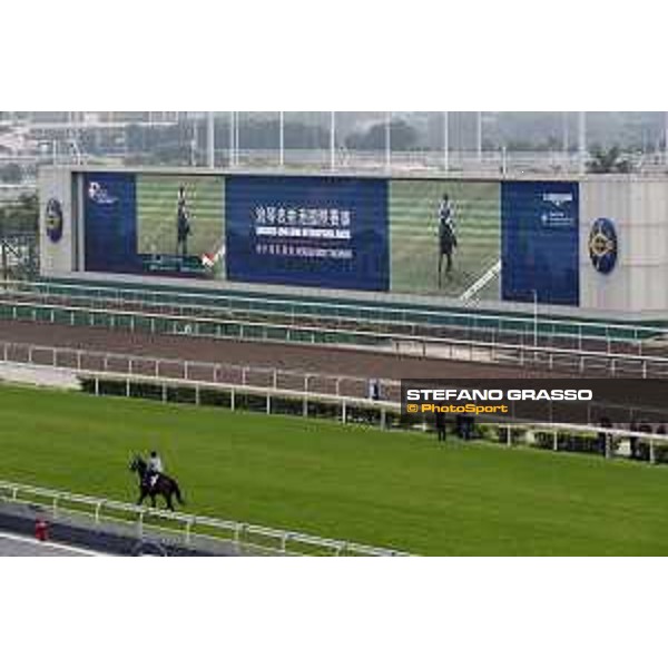 Sha Tin - Morning track works - Quechua and the Big Screen Sha Tin,7th dec.2016 ph.Stefano Grasso