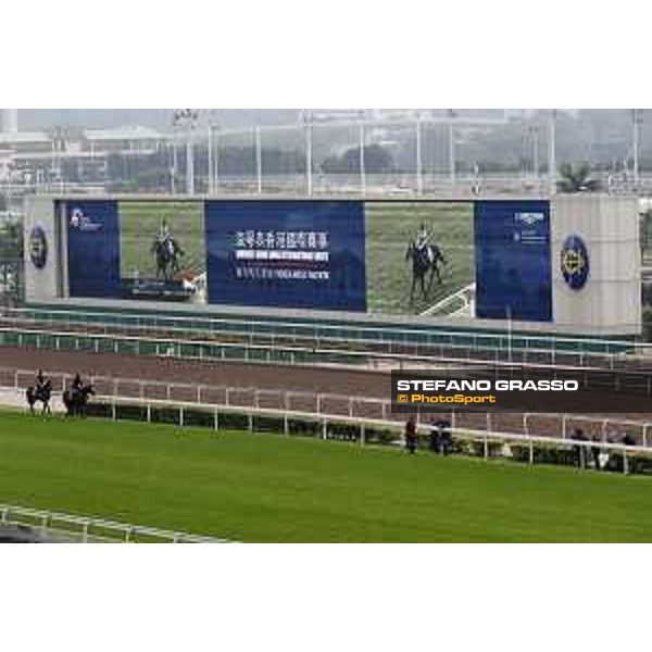 Sha Tin - Morning track works -Highland Reel,Coougar Mountain and the Big Screen Sha Tin,7th dec.2016 ph.Stefano Grasso