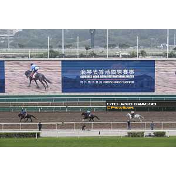 Sha Tin - Morning track works - Lovely Day,Satono Aladdin,Satono Crown Sha Tin,7th dec.2016 ph.Stefano Grasso
