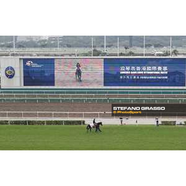 Sha Tin - Morning track works - Elliptique Sha Tin,7th dec.2016 ph.Stefano Grasso