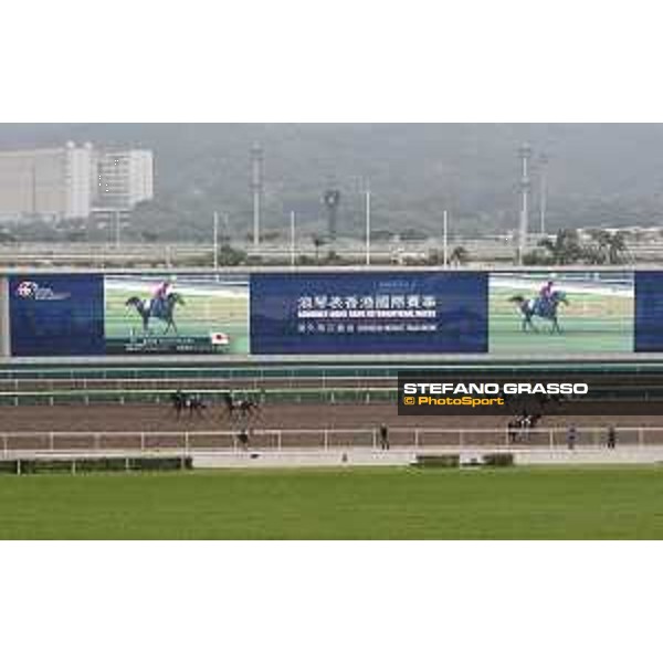 Sha Tin - Morning track works and the Big Screen Sha Tin,7th dec.2016 ph.Stefano Grasso