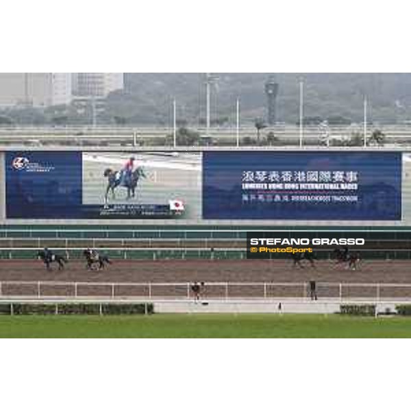 Sha Tin - Morning track works and the Big Screen Sha Tin,7th dec.2016 ph.Stefano Grasso