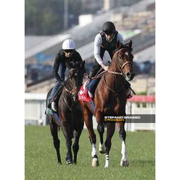 Longines Hong Kong International Races - Morning track works - Ryan Moore on Maurice and Joao Moreira on Satono Crown Hong Kong - Sha Tin racecourse,8th dec.2016 ph.Stefano Grasso/Longines