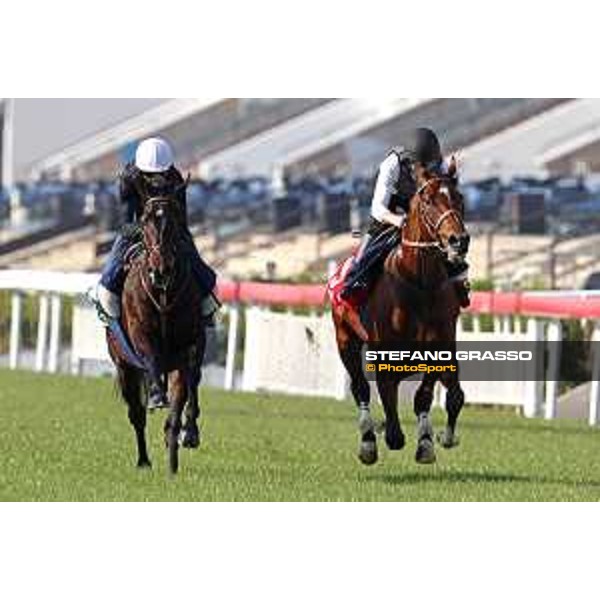 Longines Hong Kong International Races - Morning track works - Ryan Moore on Maurice and Joao Moreira on Satono Crown Hong Kong - Sha Tin racecourse,8th dec.2016 ph.Stefano Grasso/Longines