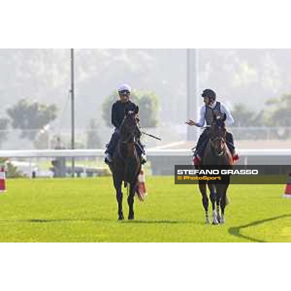 Longines Hong Kong International Races - Morning track works - Ryan Moore on Maurice and Joao Moreira on Satono Crown Hong Kong - Sha Tin racecourse,8th dec.2016 ph.Stefano Grasso/Longines