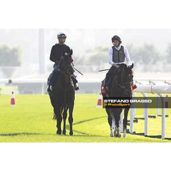 Longines Hong Kong International Races - Morning track works - Ryan Moore on Maurice and Joao Moreira on Satono Crown Hong Kong - Sha Tin racecourse,8th dec.2016 ph.Stefano Grasso/Longines