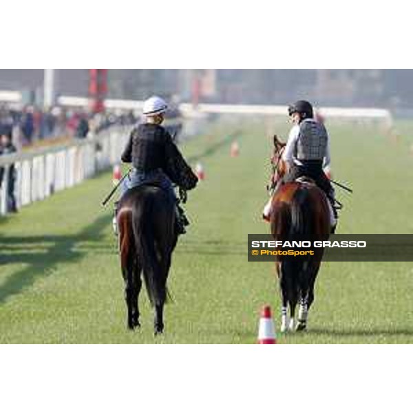 Longines Hong Kong International Races - Morning track works - Ryan Moore on Maurice and Joao Moreira on Satono Crown Hong Kong - Sha Tin racecourse,8th dec.2016 ph.Stefano Grasso/Longines