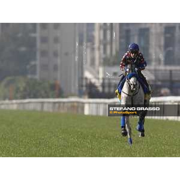 Longines Hong Kong International Races - Morning track works - Mirco Demuro on Red Falx Hong Kong - Sha Tin racecourse,8th dec.2016 ph.Stefano Grasso/Longines