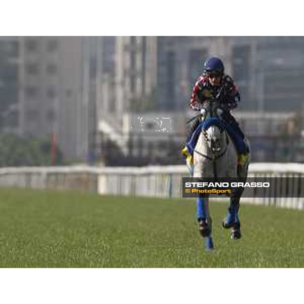 Longines Hong Kong International Races - Morning track works - Mirco Demuro on Red Falx Hong Kong - Sha Tin racecourse,8th dec.2016 ph.Stefano Grasso/Longines