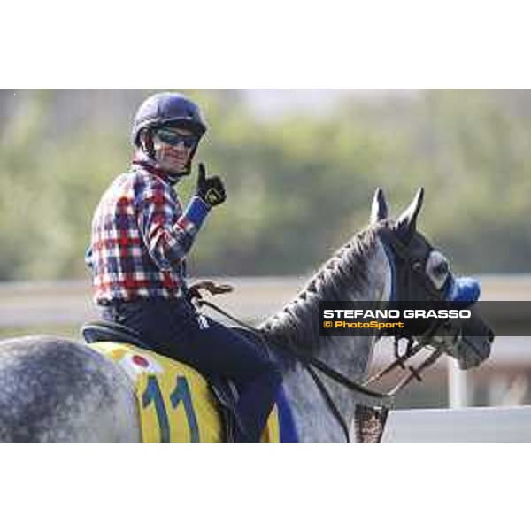 Longines Hong Kong International Races - Morning track works - Mirco Demuro on Red Falx Hong Kong - Sha Tin racecourse,8th dec.2016 ph.Stefano Grasso/Longines