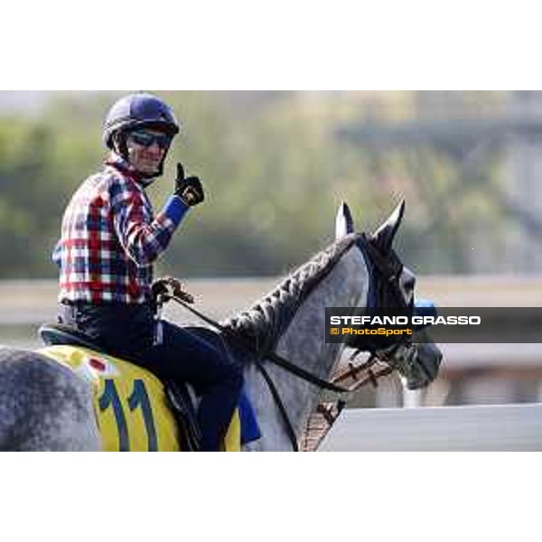Longines Hong Kong International Races - Morning track works - Mirco Demuro on Red Falx Hong Kong - Sha Tin racecourse,8th dec.2016 ph.Stefano Grasso/Longines