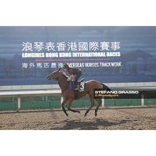 Longines Hong Kong International Races - Morning track works - Big Orange Hong Kong - Sha Tin racecourse,9th dec.2016 ph.Stefano Grasso/Longines