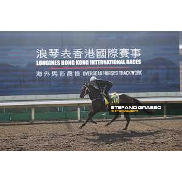Longines Hong Kong International Races - Morning track works - Rebel Dane Hong Kong - Sha Tin racecourse,9th dec.2016 ph.Stefano Grasso/Longines