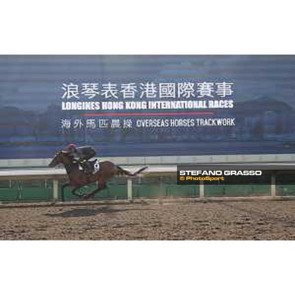Longines Hong Kong International Races - Morning track works - Highland Reel Hong Kong - Sha Tin racecourse,9th dec.2016 ph.Stefano Grasso/Longines
