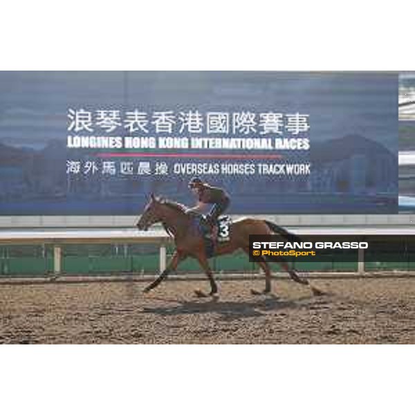 Longines Hong Kong International Races - Morning track works - Big Orange Hong Kong - Sha Tin racecourse,9th dec.2016 ph.Stefano Grasso/Longines