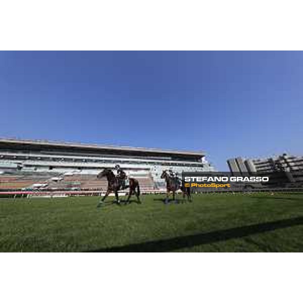 Longines Hong Kong International Races - Morning track works - Silverwave and Garlingari Hong Kong - Sha Tin racecourse,9th dec.2016 ph.Stefano Grasso/Longines