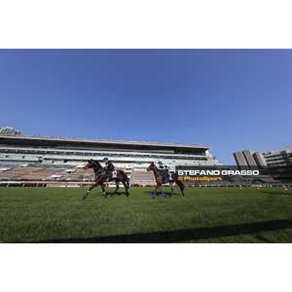 Longines Hong Kong International Races - Morning track works - Silverwave and Garlingari Hong Kong - Sha Tin racecourse,9th dec.2016 ph.Stefano Grasso/Longines