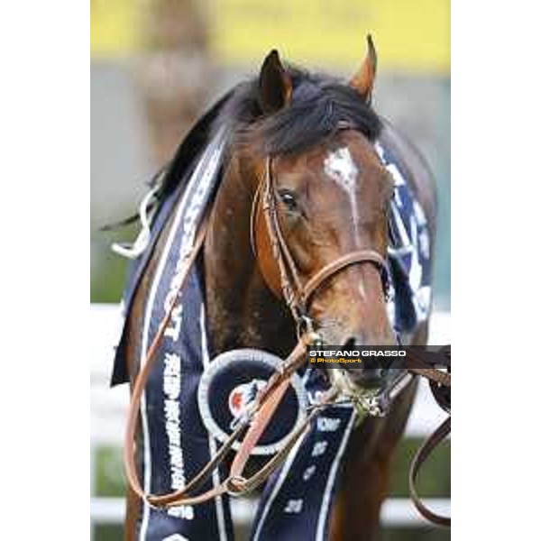 Longines KHIR - Ryan Moore on Maurice wins the Longines Hong Kong Cup Hong Kong,9th dec.2016 ph.Stefano Grasso/Longines