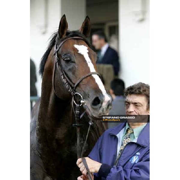 close for Laverock winner of Gran Premio del Jockey Club Milan San Siro, 15th october 2006 ph. Stefano Grasso