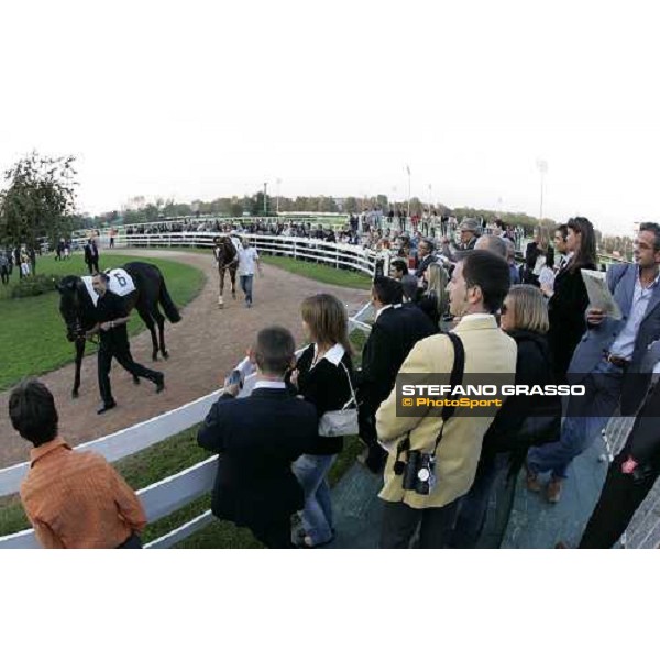 parade ring of San Siro racetrack Milan San Siro, 15th october 2006 ph. Stefano Grasso