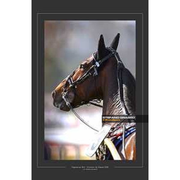 Varenne Cagnes sur Mer 2002 ph.Stefano Grasso