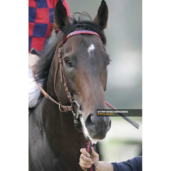 close up for Ramonti Milan San Siro, 14th october 2006 ph. Stefano Grasso