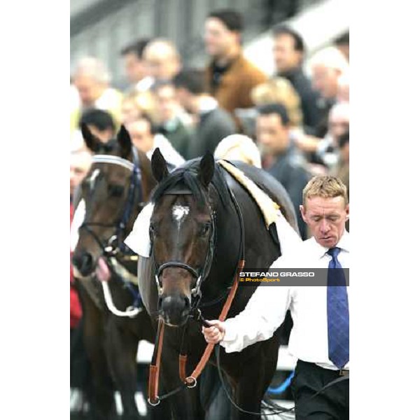 Premio Vittorio di Capua - Caradak parading before the race Milan San Siro, 14th october 2006 ph. Stefano Grasso