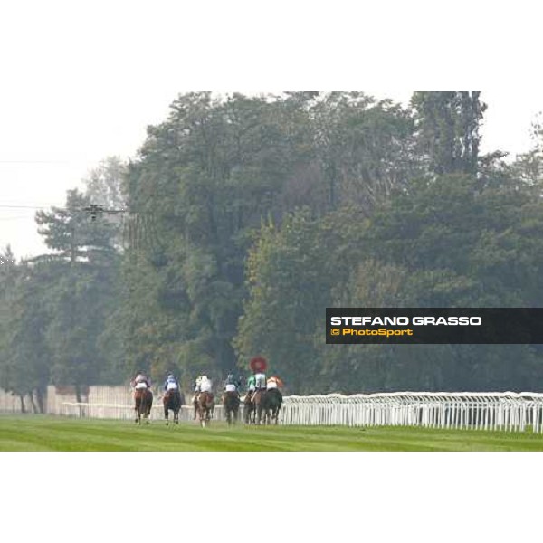 last few meters on the straight of San Siro racetrack Milan San Siro, 14th october 2006 ph. Stefano Grasso