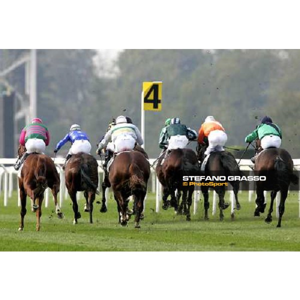 the horses at 4000 meters to the line on the straight of San Siro racetrack Milan San Siro, 14th october 2006 ph. Stefano Grasso