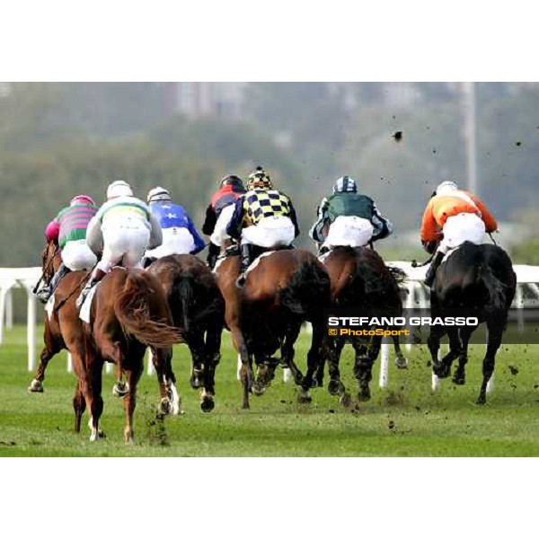 the horses at 400 meters to the line on the straight of San Siro racetrack Milan San Siro, 14th october 2006 ph. Stefano Grasso