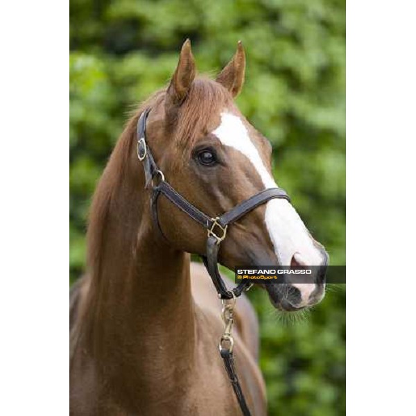 close up for Altieri Velletri (Roma), 23rd april 2006 ph. Stefano Grasso