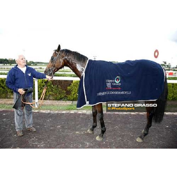 portrait for il Cadetto winner of Premio Guido Berardelli Rome Capannelle, 22nd october 2006 ph. Stefano Grasso