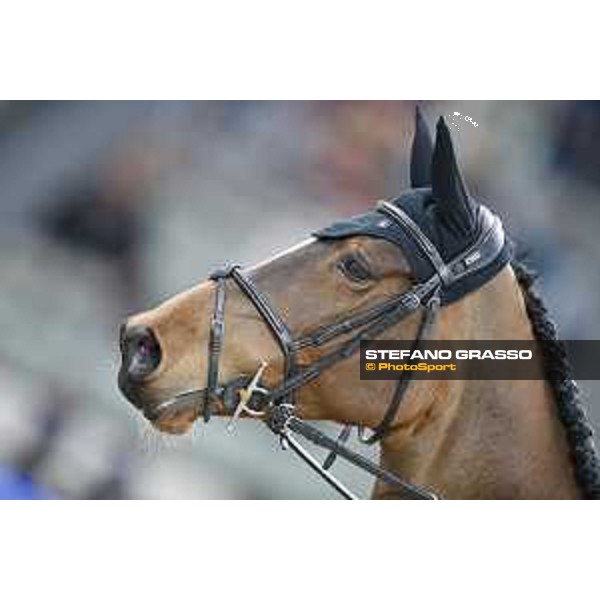 CHI of Al Shaqab - Class S07 CSI5* - Kevin Staut on Elky van het Indihof HDC Doha, Al Shaqab - 03th March 2017 ph.Mario Grassia/Al Shaqab
