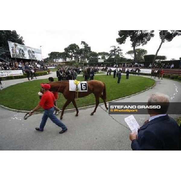 parade ring of Capannelle racetrack Rome Capannelle, 22nd october 2006 ph. Stefano Grasso