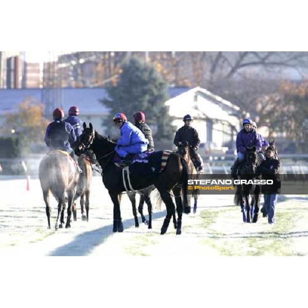 Frankie Dettori on Oujia Board after morning works Louisville Churchills Down racetrack, 3rd nov. 2006 ph. Stefano Grasso