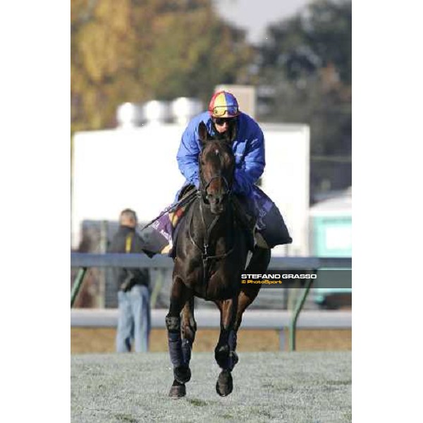 Frankie Dettori exercises on Oujia Board Louisville Churchills Down racetrack, 3rd nov. 2006 ph. Stefano Grasso