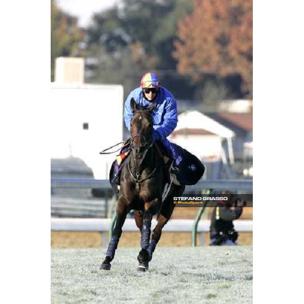 Frankie Dettori exercises on Oujia Board Louisville Churchills Down racetrack, 3rd nov. 2006 ph. Stefano Grasso