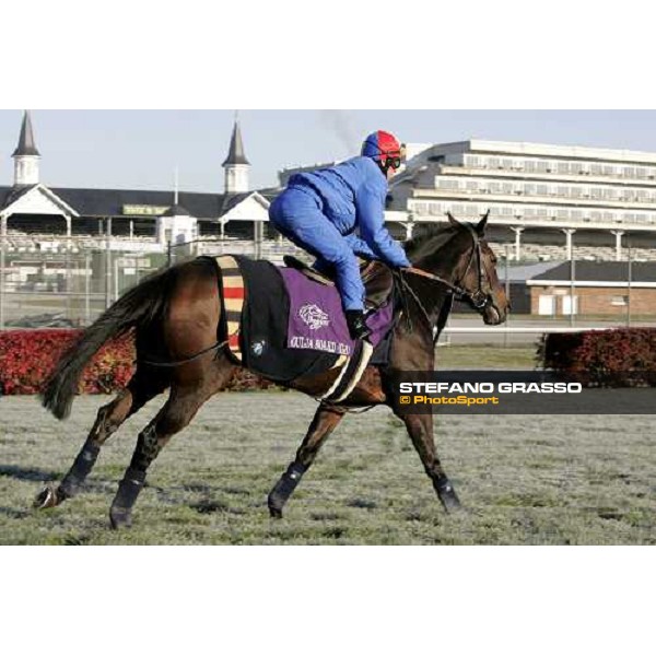 Frankie Dettori on Ouija Board during morning works Louisville Churchills Down racetrack, 3rd nov. 2006 ph. Stefano Grasso