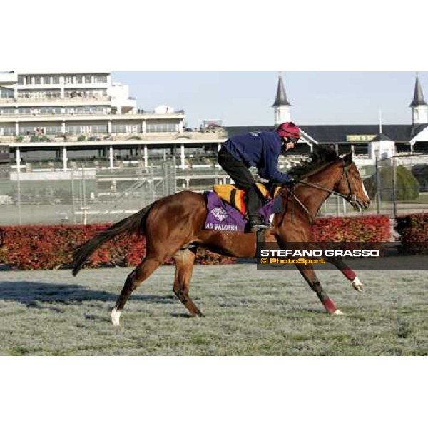 Ad Valorem during morning works Louisville Churchills Down racetrack, 3rd nov. 2006 ph. Stefano Grasso