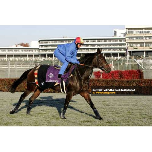 Frankie Dettori on Ouija Board during morning works Louisville Churchills Down racetrack, 3rd nov. 2006 ph. Stefano Grasso