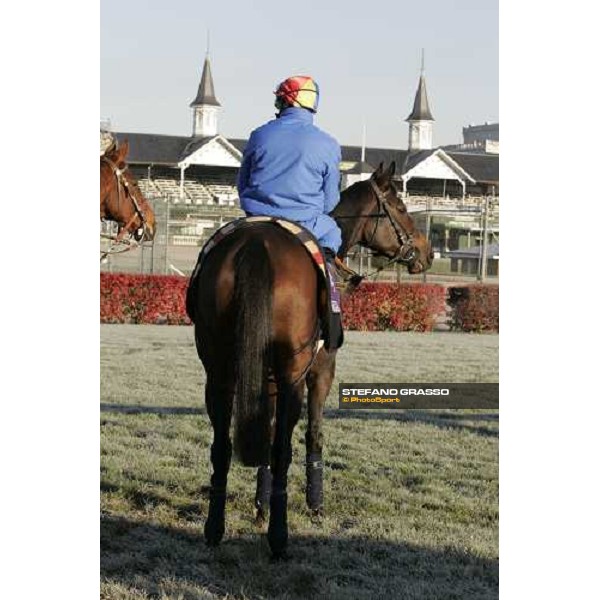 Frankie Dettori on Ouija Board enters the track for morning works Louisville Churchills Down racetrack, 3rd nov. 2006 ph. Stefano Grasso