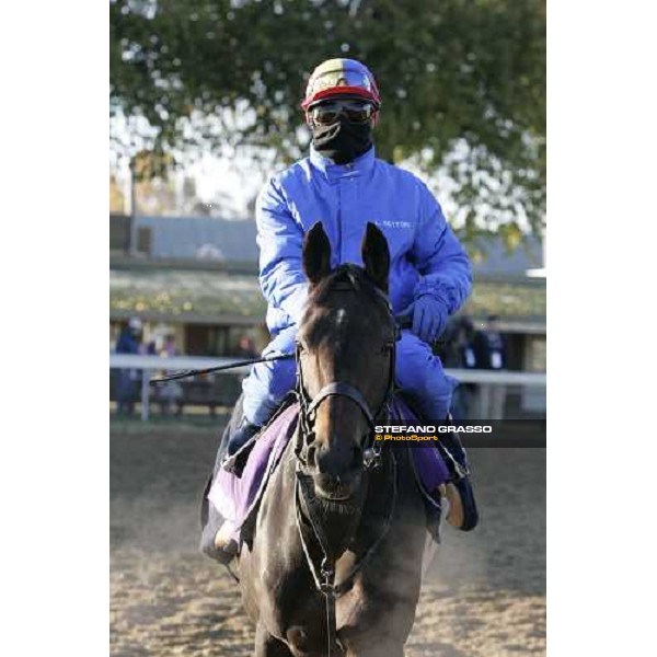 Frankie Dettori on Ouija Board enters the track for morning works Louisville Churchills Down racetrack, 3rd nov. 2006 ph. Stefano Grasso