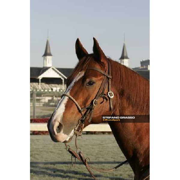 Breeders\' Cup Louisville Churchills Down racetrack, 3rd nov. 2006 ph. Stefano Grasso